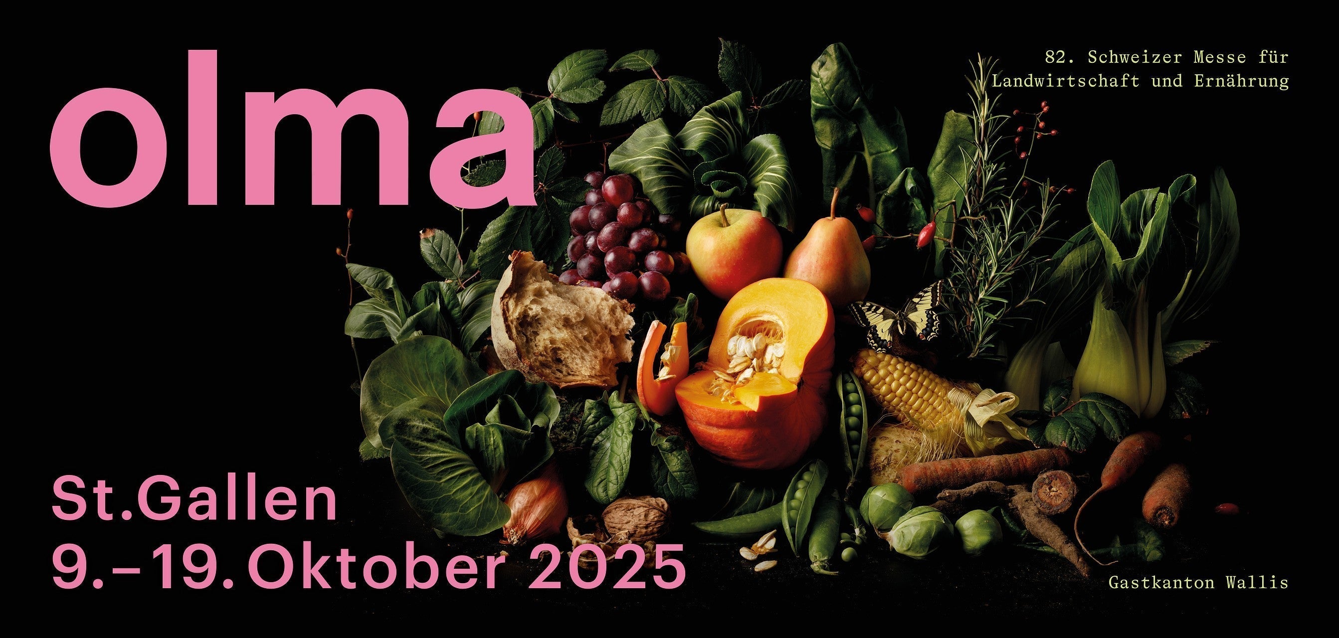 OLMA 2025