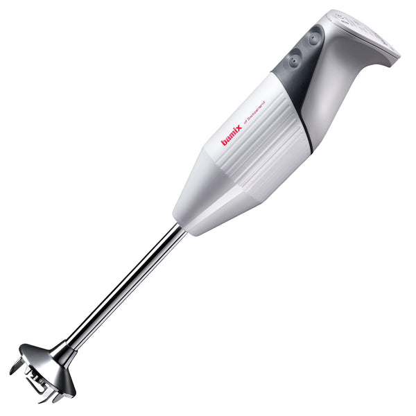Frullatore a immersione 200 W (modello D)
